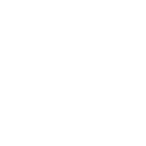 Icono Diseño Exclusivo